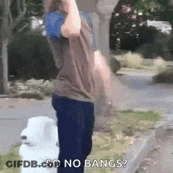 A Man Is Standing Next To A White Dog With The Words `` So No Bangs '' . GIF