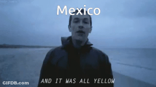 A Man Is Standing On A Beach With The Words Mexico And It Was All Yellow GIF