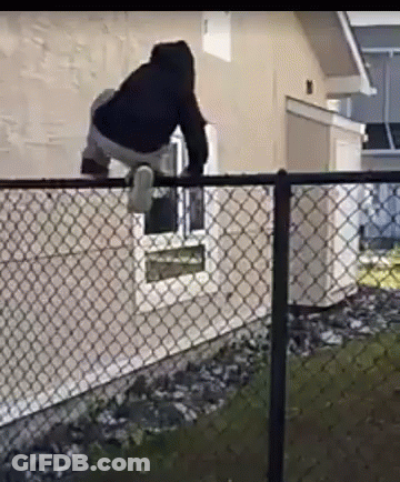 A Man Is Standing On A Chain Link Fence Looking Out A Window . GIF