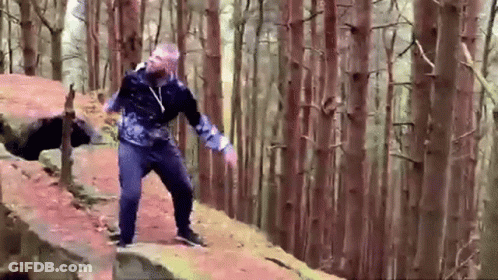 A Man Is Standing On A Rock In A Forest . GIF