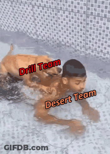 A Man Is Swimming In A Pool With A Dog And The Words " Drill Team " And " Desert Team " Above Him GIF