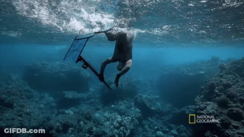 A Man Is Swimming In The Ocean With A National Geographic Logo GIF