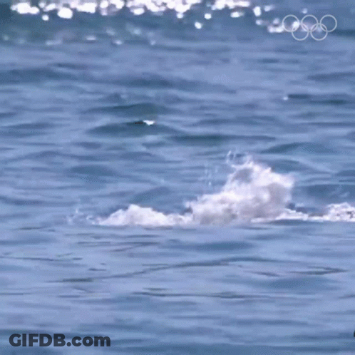 A Man Is Swimming In The Ocean With The Olympic Rings Visible In The Background GIF