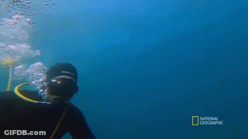 A Man Is Swimming In The Ocean With The Words National Geographic Behind Him GIF