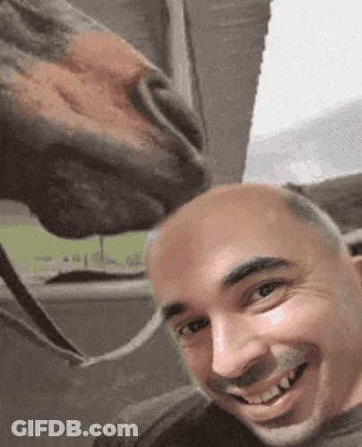 A Man Is Taking A Picture With A Horse Licking His Face GIF