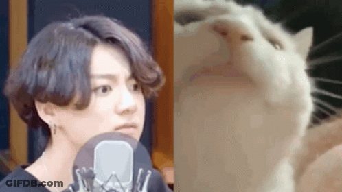 A Man Is Talking Into A Microphone Next To A Cat Looking Up At The Camera . GIF
