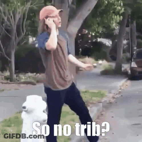 A Man Is Talking On A Cell Phone Next To A White Dog . GIF