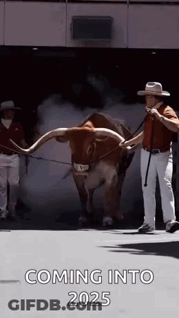 A Man Is Walking A Longhorn Bull On A Leash In Front Of A Building . GIF