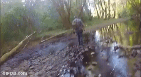 A Man Is Walking Across A Muddy Stream In A Forest . GIF