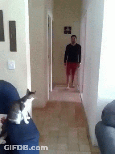 A Man Is Walking Down A Hallway With A Cat Sitting On A Couch . GIF