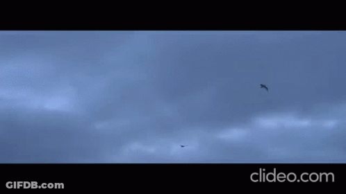 A Man Is Walking On A Beach In A Clip From Clideo GIF