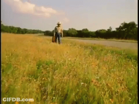 A Man Is Walking Through A Field Of Tall Grass With A Guitar . GIF