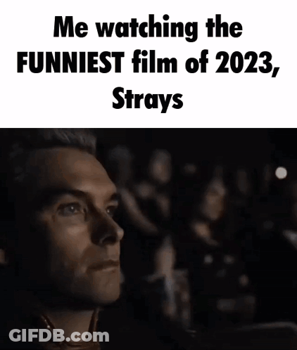 Man Watching Funniest 2023 Movie Strays GIF
