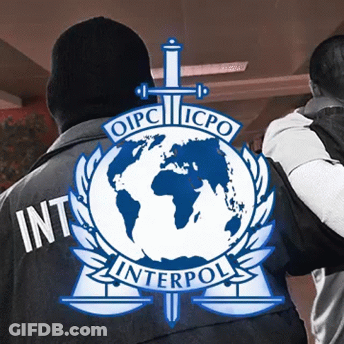 A Man Is Wearing A Black Jacket With The Word Interpol On The Back GIF