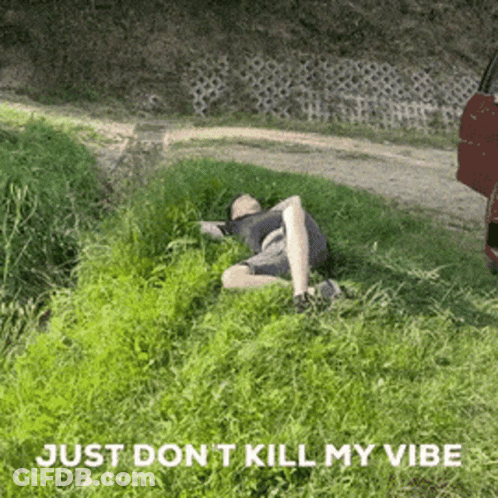 A Man Laying In The Grass With The Words Just Don T Kill My Vibe Below Him GIF
