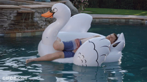 A Man Laying On An Inflatable Swan In A Swimming Pool GIF