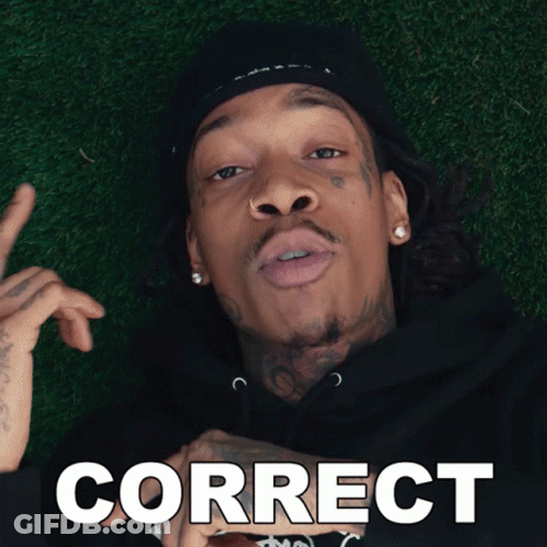 Man Lying On Grass Saying Correct GIF