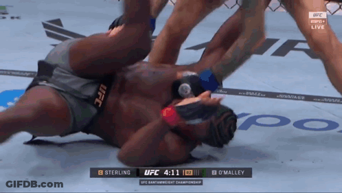 A Man Laying On The Ground During A Ufc Match GIF