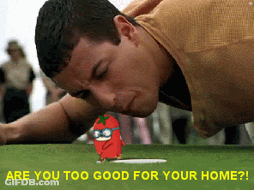 A Man Laying On The Ground With A Cartoon Tomato On The Green And The Words Are You Too Good For Your Home Below Him GIF