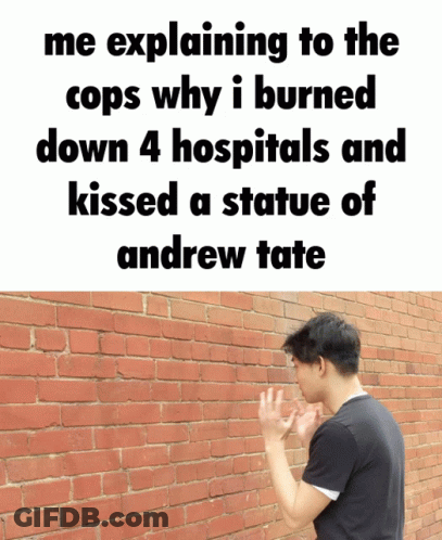A Man Leaning Against A Brick Wall With A Meme Explaining To The Cops GIF