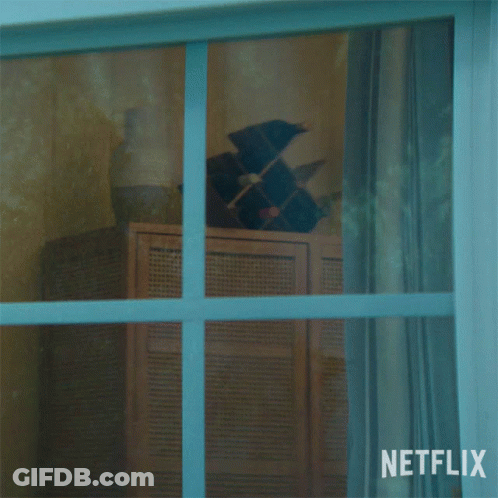 A Man Looking Out Of A Window With A Netflix Logo In The Corner GIF