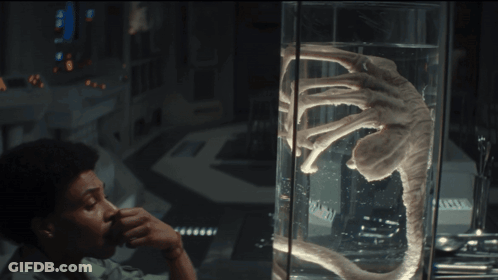 A Man Looks At A Display Of A Creature In A Glass Tank GIF