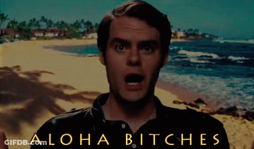 A Man On A Beach With The Words Aloha Bitches On The Bottom GIF