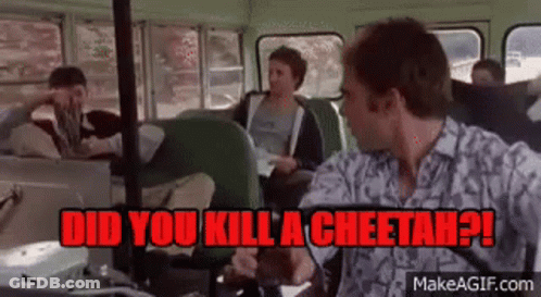 A Man On A Bus Says Did You Kill A Cheetah ! GIF