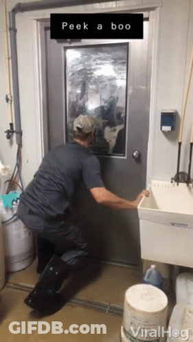 A Man Opens A Door With A Sign That Says Peek A Boo On It GIF
