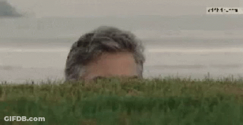 A Man Peeking Out From Behind A Grassy Hill GIF
