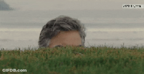 A Man Peeking Out Of A Grassy Field With A Watermark That Says ' A ' On It GIF