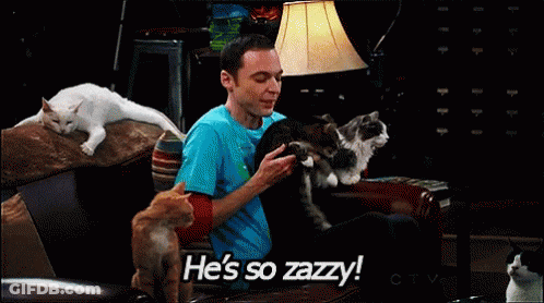 A Man Petting A Cat With The Words He 'S So Zazzy On The Bottom GIF
