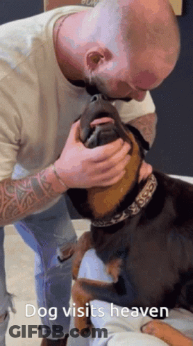 A Man Petting A Dog With The Words Dog Visits Heaven On The Bottom GIF