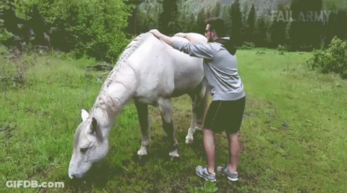 A Man Petting A White Horse In A Field With Failarmy Written In The Corner GIF