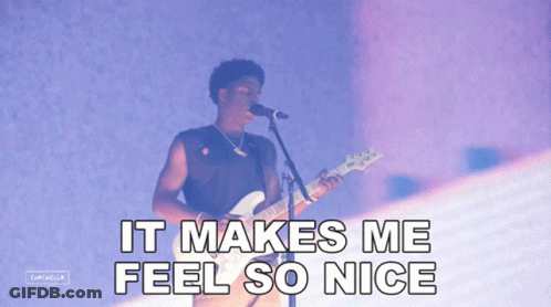 A Man Playing A Guitar And Singing Into A Microphone With The Words It Makes Me Feel So Nice Below Him GIF