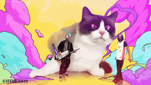 A Man Playing A Keyboard In Front Of A Grumpy Cat And A Man Wearing A Jersey That Says Miami GIF
