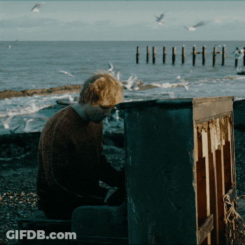 A Man Playing A Piano On A Beach With Seagulls Flying Around Him GIF