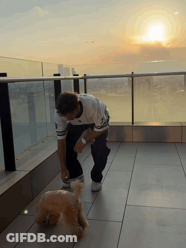 A Man Playing With A Dog On A Balcony With The Sun Setting Behind Him GIF