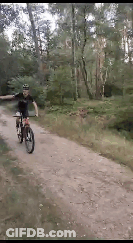 A Man Riding A Bike Down A Dirt Road In The Woods GIF