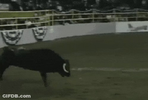 A Man Riding A Bull On A Rodeo Arena GIF