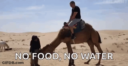 A Man Riding A Camel In The Desert With The Words " No Food No Water " Above Him GIF