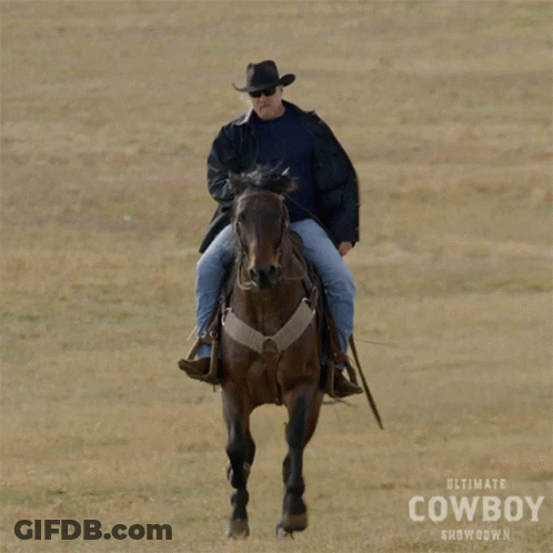 A Man Riding A Horse In A Field With Ultimate Cowboy Showdown Written On The Bottom GIF