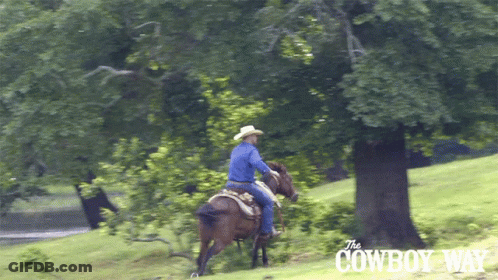 A Man Riding A Horse In A Park With The Cowboy Way Written On The Bottom GIF