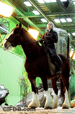 A Man Riding A Horse In Front Of A Green Wall GIF