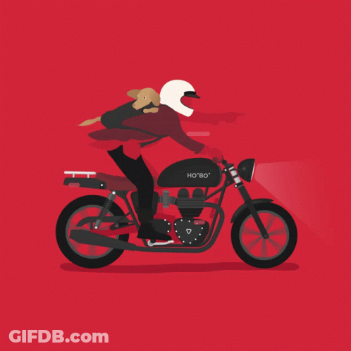 A Man Riding A Motorcycle With A Dog On His Back That Says Ho Bo On It GIF