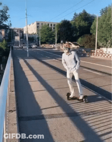 A Man Riding A Skateboard On A Bridge GIF