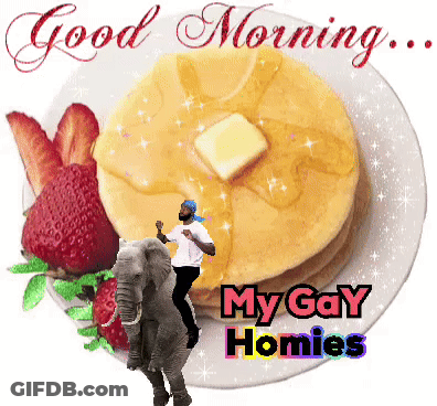 A Man Riding An Elephant On A Plate Of Pancakes With The Words " My Gay Homies " Below It GIF