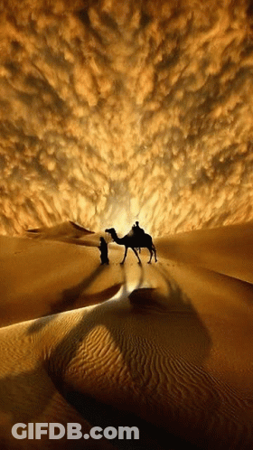 A Man Riding On The Back Of A Camel In A Desert GIF