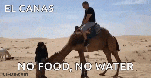 A Man Riding On The Back Of A Camel In The Desert With The Words El Canas No Food No Water Below Him GIF