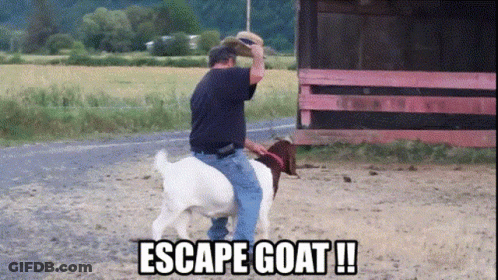 A Man Riding On The Back Of A Goat With The Words Escape Goat Written Below Him GIF
